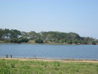 /album/ongchilloa-com-co/img-0502-jpg/