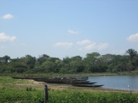 /album/ongchilloa-com-co/img-0503-jpg/