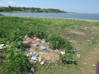/album/ongchilloa-com-co/img-0504-jpg/