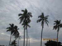 /album/ongchilloa-com-co/img-0074-jpg/