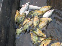 /album/ongchilloa-com-co/img-0076-jpg/