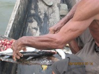 /album/ongchilloa-com-co/img-0077-jpg/