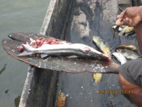 /album/ongchilloa-com-co/img-0078-jpg/