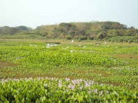 /album/ongchilloa-com-co/chilloa10-jpg/